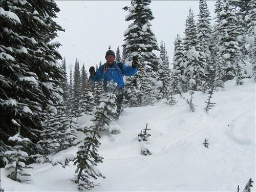 Carl telemarking through the trees