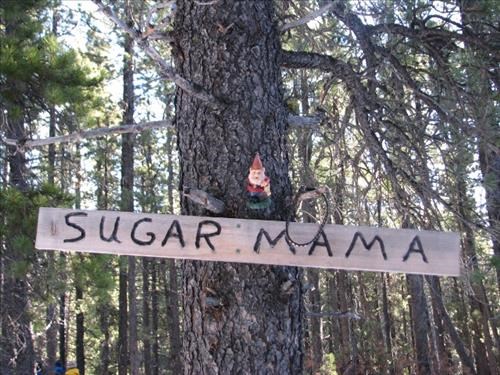 We found a traveling gnome hanging out in the woods on Sugar Mama trail