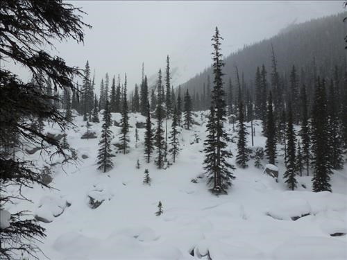 Big rock area behind lake