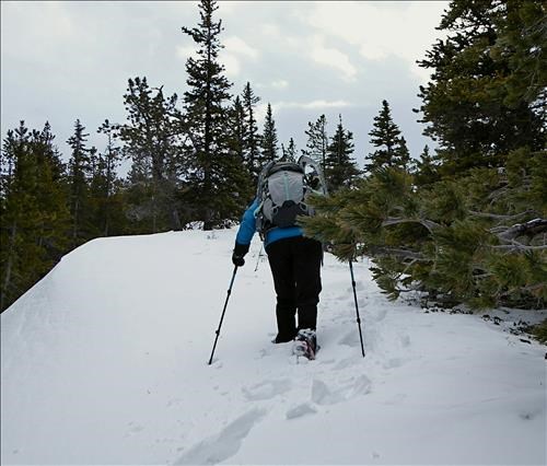 Only a few sections of snow on the way up.