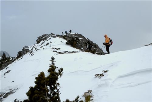 Suzy on the ridge.