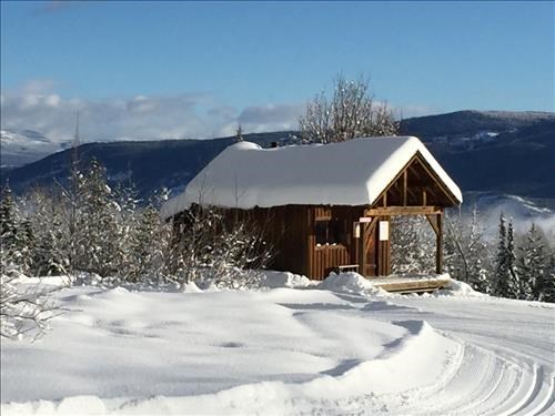 Cabin along Blackjack Trails near Red Mountain Ski Resort, BC
