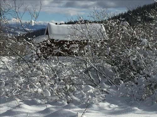 Cabin along Blackjack Trails near Red Mountain Ski Resort, BC