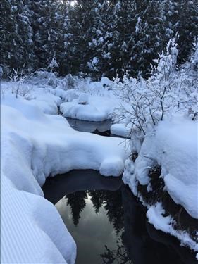 Beaverhill Pond - Blackjack Trails, Rossland, BC