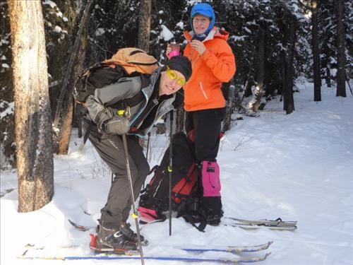 Break on Tower Lake Trail, Banff NP: {1063 in s}, {172 ch g}