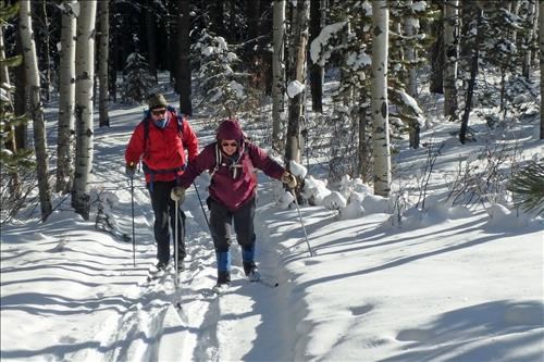 Short climb on Logger's Loop