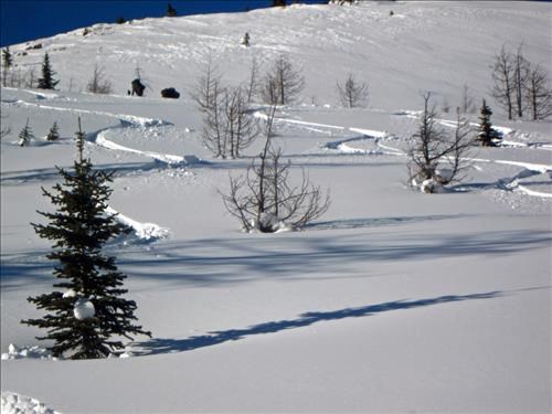 The "Bill slope" had better snow than I expected.