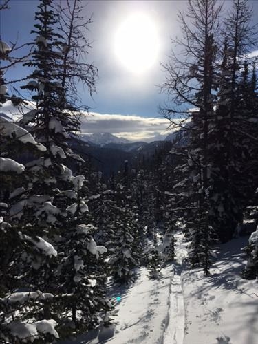 After the creek trail breaking at tree line was OK