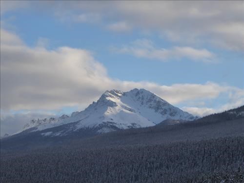 Mt.Bell?