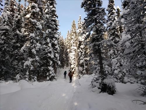On the trail to Taylor Lake.
