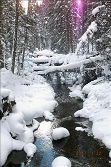 Fox Creek