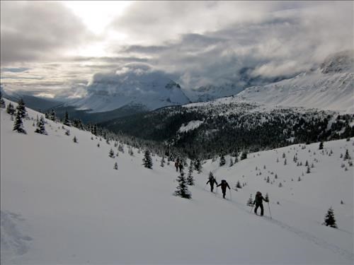 Ascending to Dolomite pass - looking down Helen lake drainage - Bow peak in background