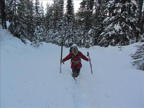 The consequences of going off the groomed trail