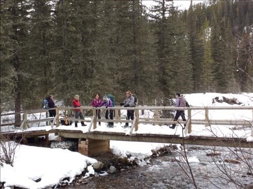 Crossing 40 Mile Creek