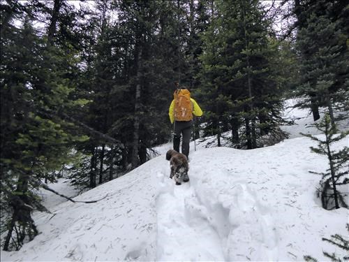 Damian and Spektor breaking trail.