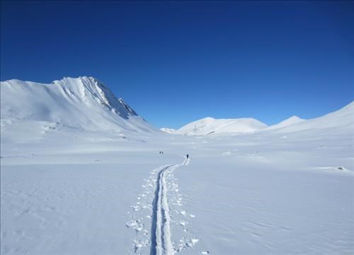 Wilcox Pass