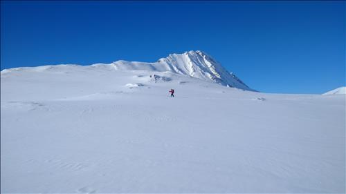 Kim heading over to the viewpoint near Wilcox Pass