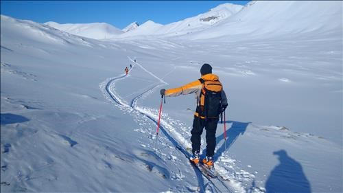 Heading back to Wilcox Pass from the Athabasca glacier viewpoint. Looks like everyone had their own route!