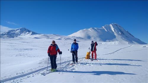Kim, Dave & John getting ready for the downhill skiing. Excellent snow through the trees