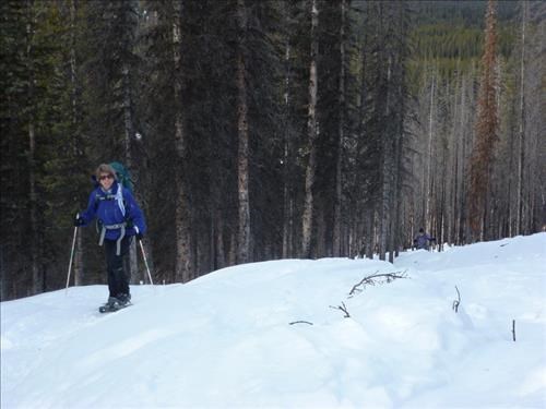 Chugging up the steepish cutline from the road