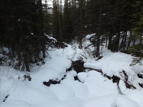 From the bridge over Engadine Creek