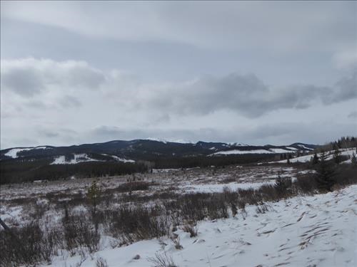 Moose Loop view
