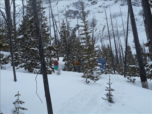uptrack with Ramblers breaking trail
