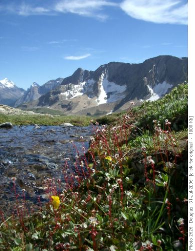 Meadows below Mt Niles