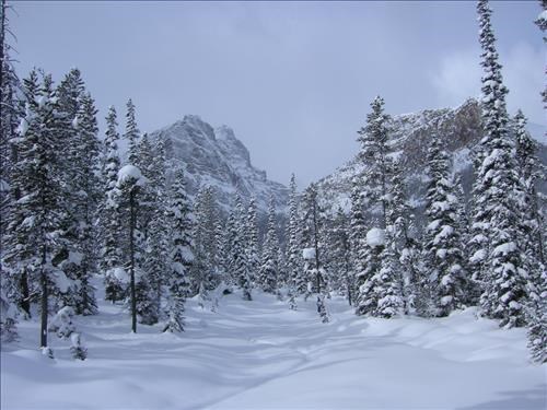 Paradise Valley