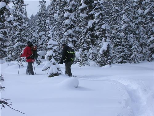 Doug and Corey trail breaking