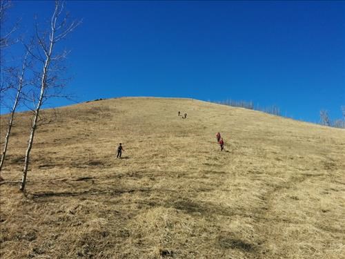 Coming down the south end of Muley