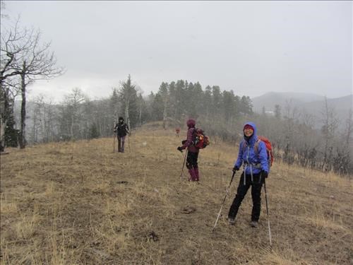 Starting back as "spring rain" begins
