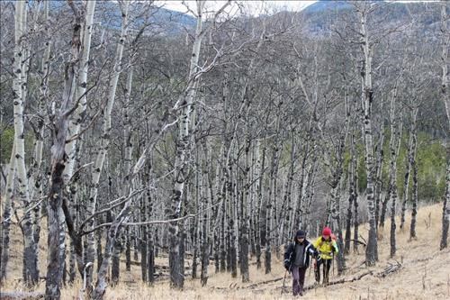 A little off-trail hiking up to the ridge