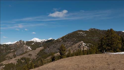 Looking North along the ridge to Junction Hill (summit right of centre). Highwood Range as snowy backdrop.