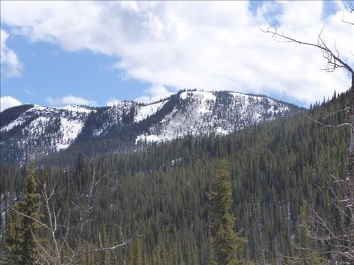 Swany's Ridge