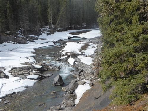 Sheep River