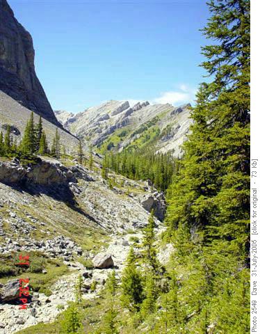 Upper valley parkland