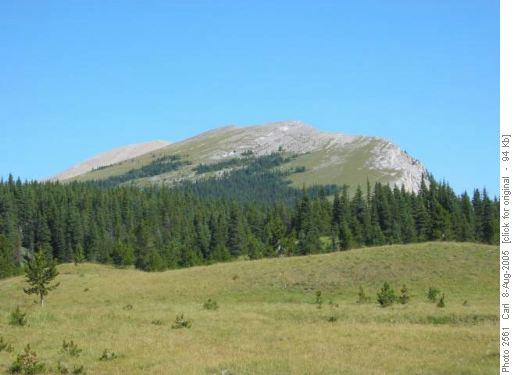 Sentinel Peak from south