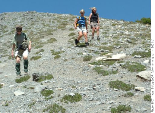 Cory Pass