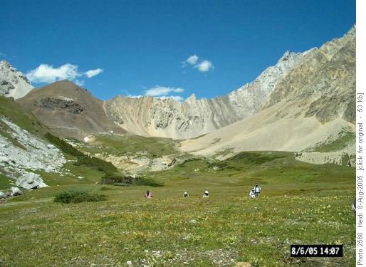 Piper Creek Hike