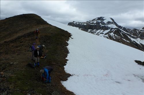 The group on Richardson ridge with the objective in the background