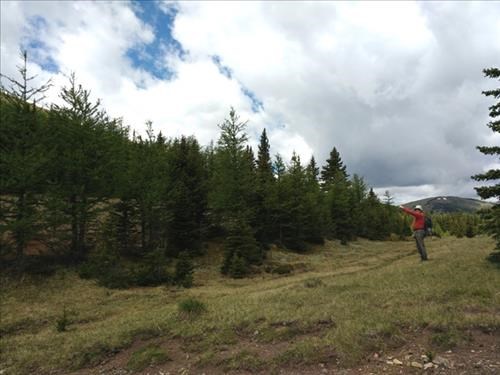 Coordinator at the saddle.