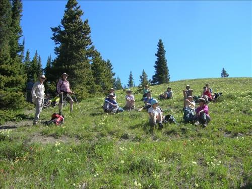 Meadow full of flowers and Ramblers