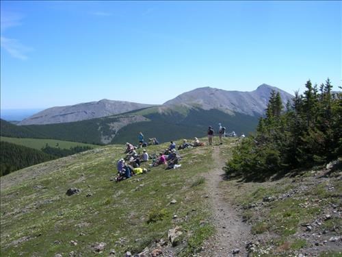 Settling in for lunch
