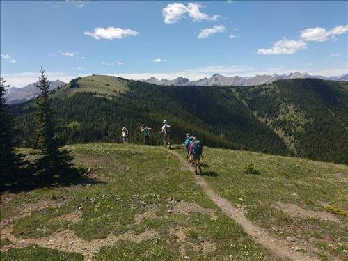 Leaving the further bump