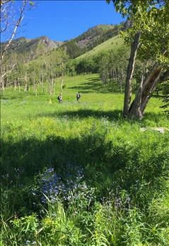 Entering the open area in Fir Creek valley