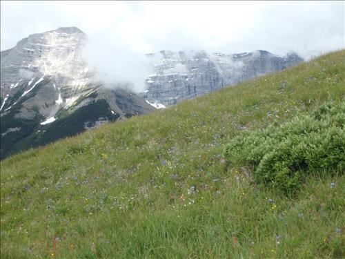 Morning mist rising in front of Mt. Kidd