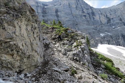 {1574 Harold Muller}