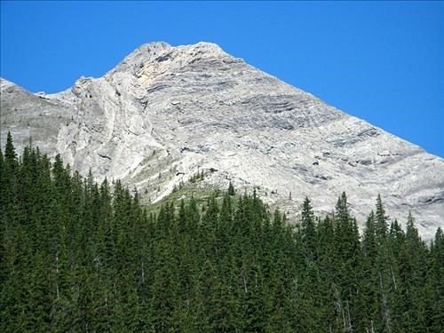 Our objective comes into view