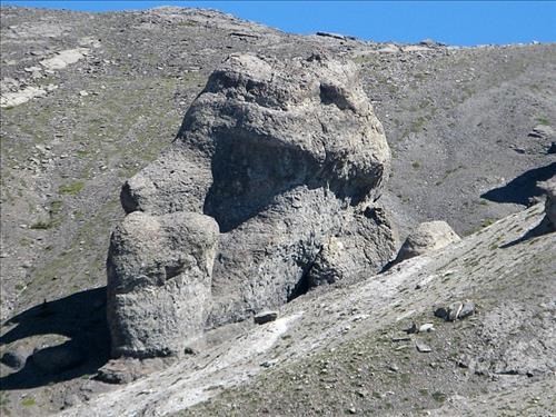 This one looks like a misshapen big head